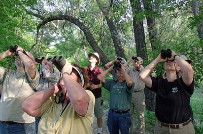 Birdwatchers