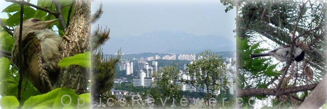 Viewing Seoul through binoculars