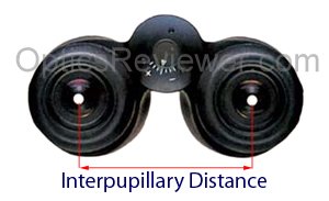 How to Choose Binoculars with correct interpupillary distance